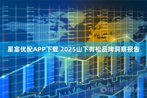 星富优配APP下载 2025山下有松品牌洞察报告