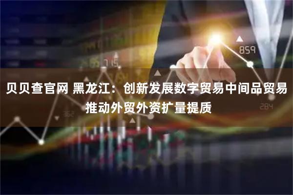 贝贝查官网 黑龙江：创新发展数字贸易中间品贸易 推动外贸外资扩量提质