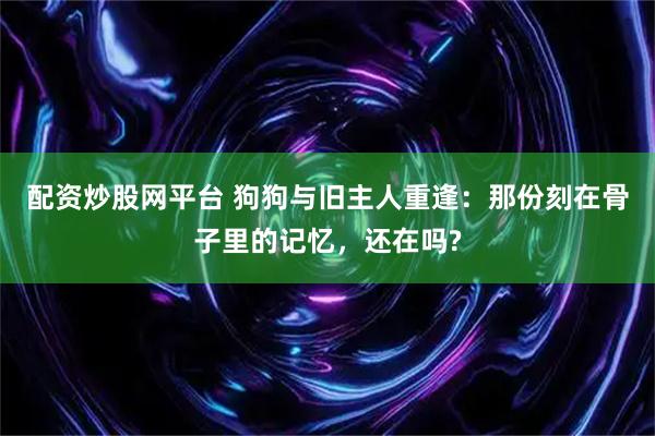 配资炒股网平台 狗狗与旧主人重逢：那份刻在骨子里的记忆，还在吗?