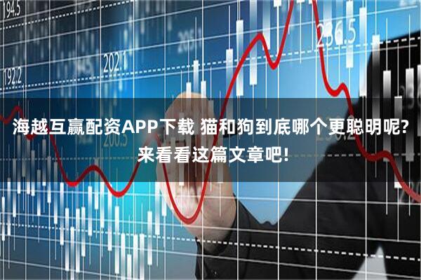 海越互赢配资APP下载 猫和狗到底哪个更聪明呢? 来看看这篇文章吧!
